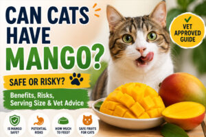 Can Cats Have Mango ? Safe Feeding , Risks & Vet Advice 🩺